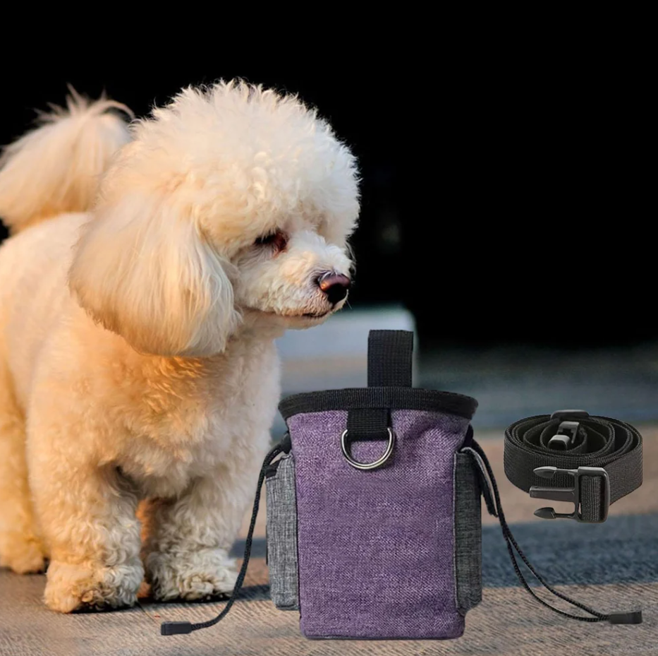 Dog Bag with Collapsible Bowl - Portable Bag for Snacks and Accessories