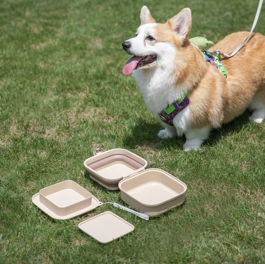Silicone Pet Care Box – Practical Storage Container for Pet Supplies