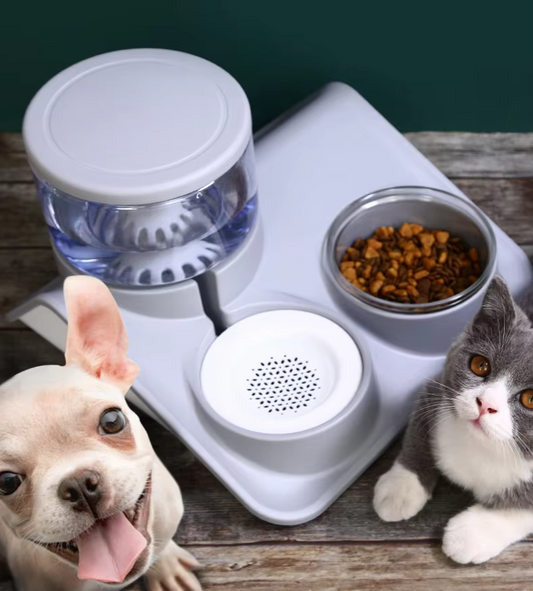 Pet Water and Food Bowl – 2-in-1 System with Practical Base