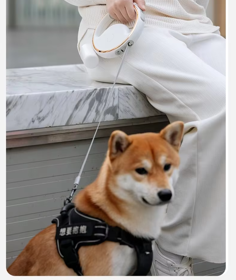 Dog Leash with LED Light and Expandable Mechanism for Safe Walks