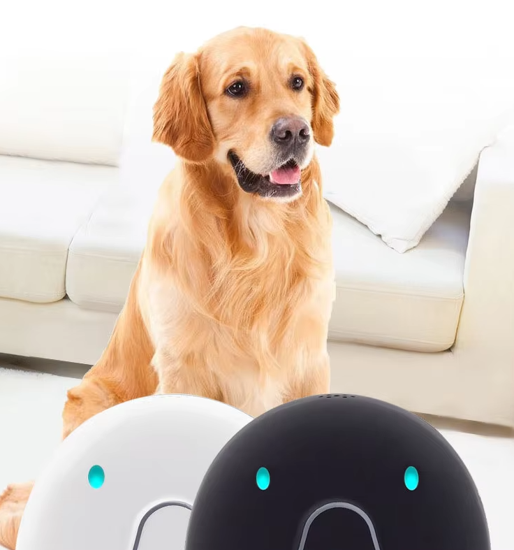 Dog Collar with GPS Tracker – Easy to Attach and Reliable