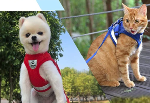 Harness For Cats With Leash