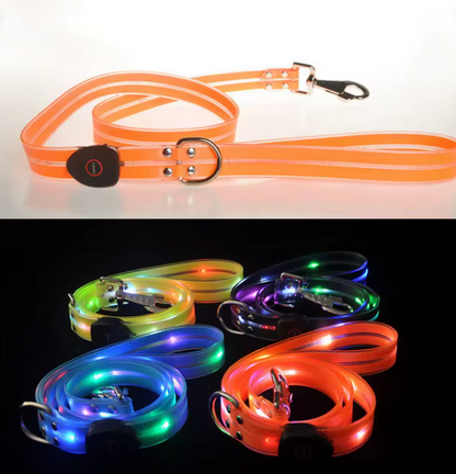 LED Dog Collar with Leash for Safe Walks