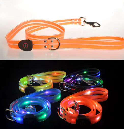 LED Dog Collar with Leash for Safe Walks
