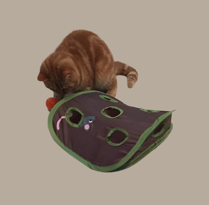 Cat Tent with Toys - Interactive Cave with Mice and Balls for Cats