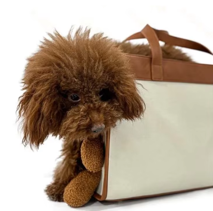Elegant Handbag for Pets - Portable Carrier Bag for Small Dogs and Cats