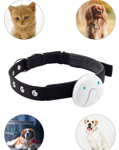 Dog Collar with GPS Tracker – Easy to Attach and Reliable