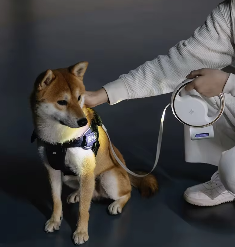 Dog Leash with LED Light and Expandable Mechanism for Safe Walks