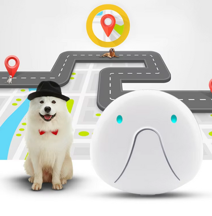 Dog Collar with GPS Tracker – Easy to Attach and Reliable