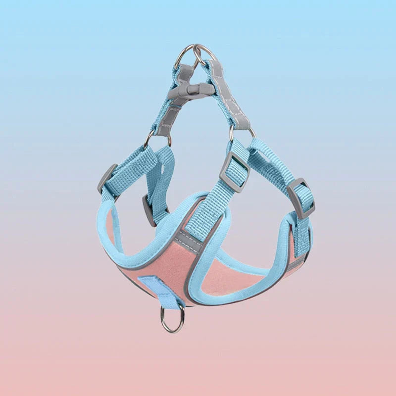 Reflective Dog Harness Set
