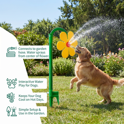 Spinning Sunflower Sprinkler for Dogs