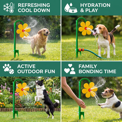 Spinning Sunflower Sprinkler for Dogs