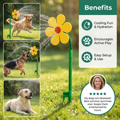 Spinning Sunflower Sprinkler for Dogs