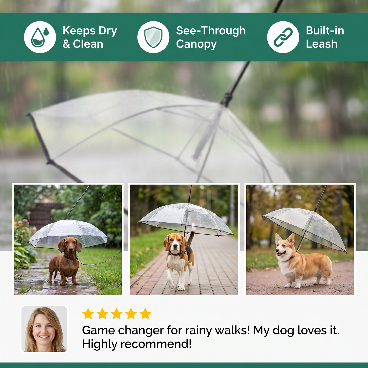 Transparent Dog Umbrella with Leash for Small Dogs