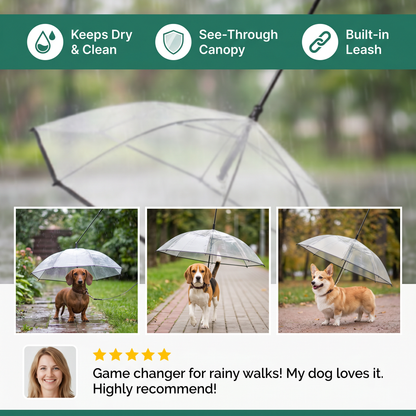 Transparent Dog Umbrella with Leash for Small Dogs