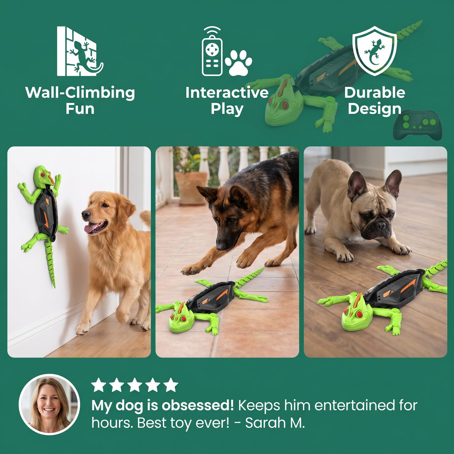 Remote Control Wall Climbing Lizard Toy for Dogs