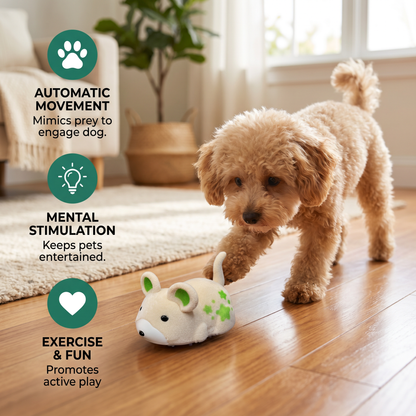 Active Hamster Indoor Dog Toy