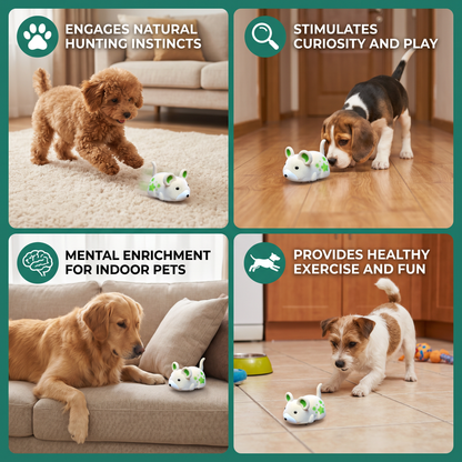 Active Hamster Indoor Dog Toy