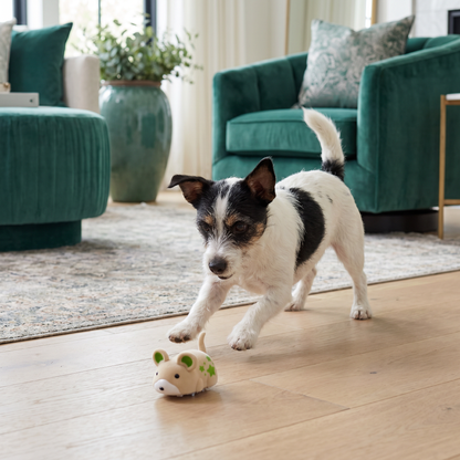 Active Hamster Indoor Dog Toy