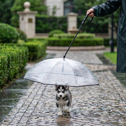 Transparent Dog Umbrella with Leash for Small Dogs