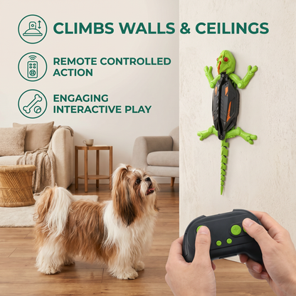 Remote Control Wall Climbing Lizard Toy for Dogs