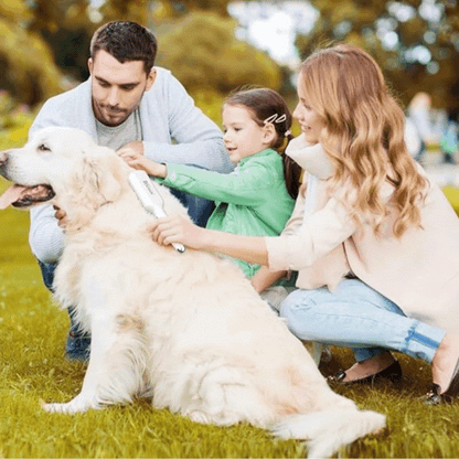 Electric Pet Massage Brush