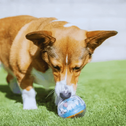 Interactive Dog Food Ball – Encourages Play and Food Engagement