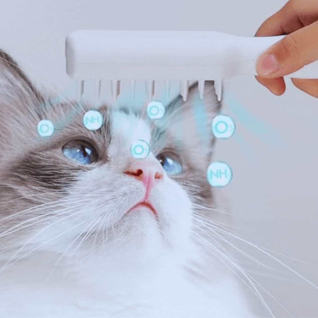 Electric Pet Massage Brush
