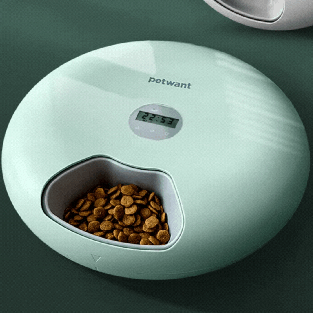 Automatic Pet Bowl – Digital Food Dispenser in Various Colours