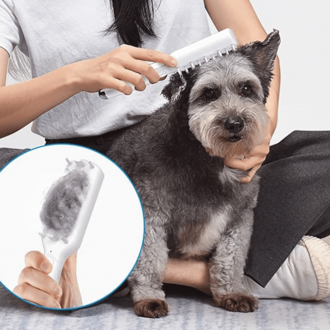 Electric Pet Massage Brush