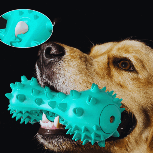 Sound-Activated Dog Toys – Spiked Chew Toy for Dogs