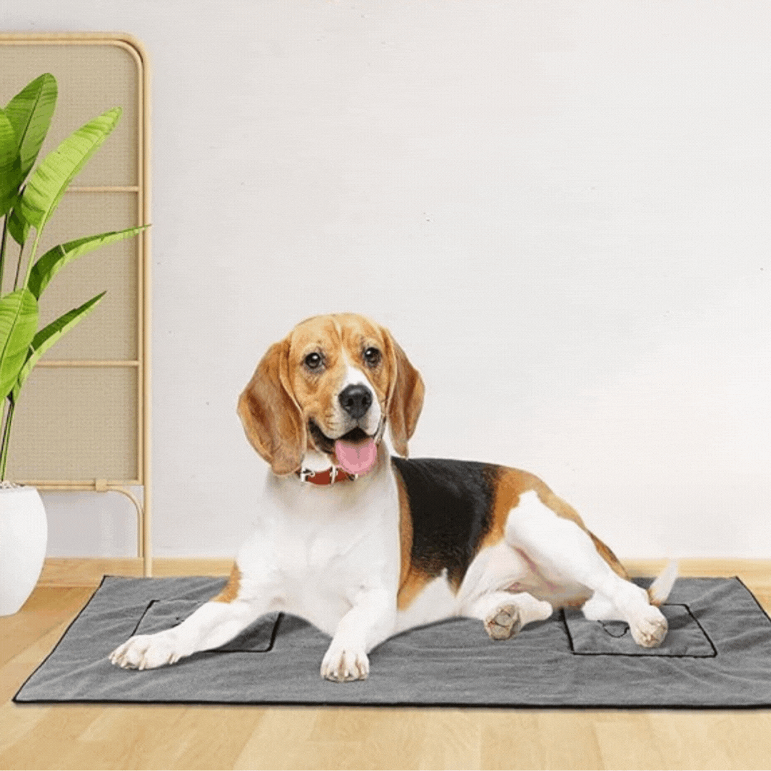 Microfiber Towel for Pets with Integrated Pockets