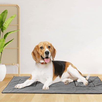 Microfiber Towel for Pets with Integrated Pockets