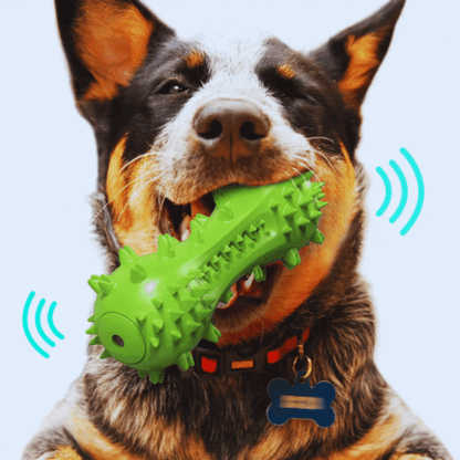 Sound-Activated Dog Toys – Spiked Chew Toy for Dogs