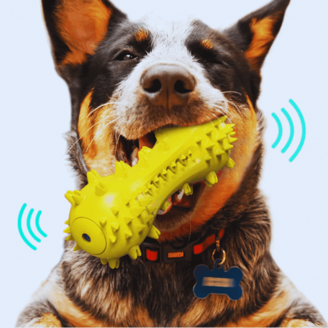 Sound-Activated Dog Toys – Spiked Chew Toy for Dogs