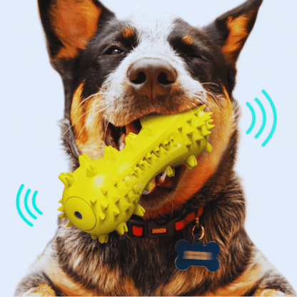 Sound-Activated Dog Toys – Spiked Chew Toy for Dogs