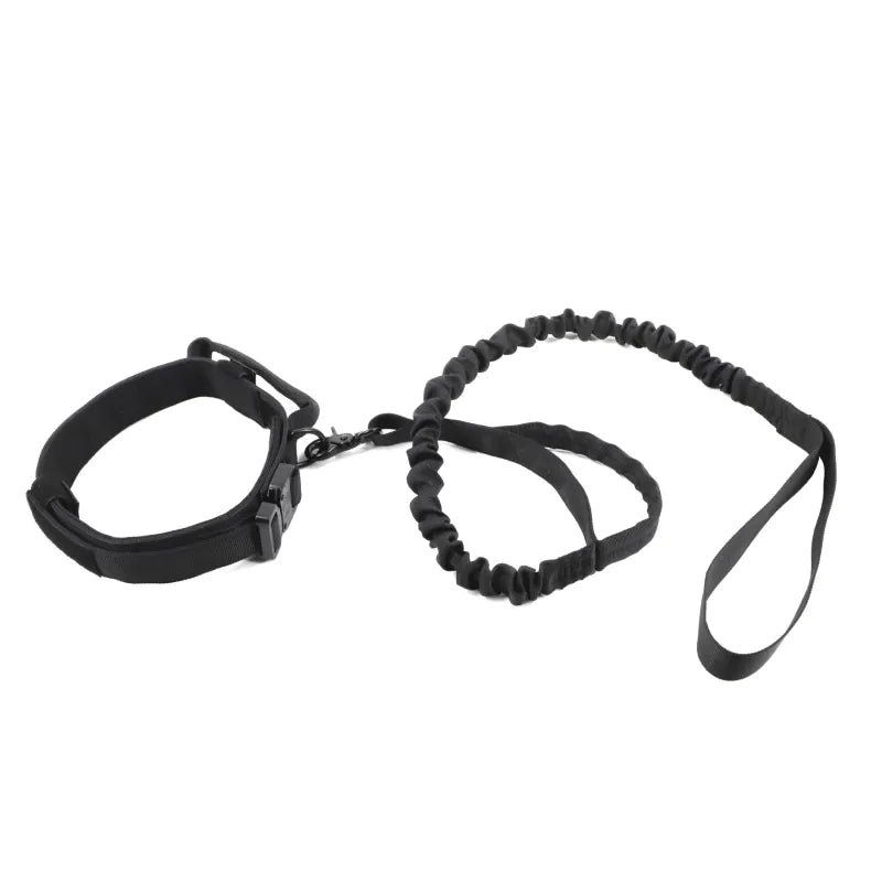 Adjustable Nylon Dog Collar with Strong Click Closure