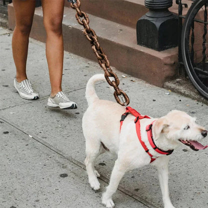 Plastic Chain leash for Doga & Cats