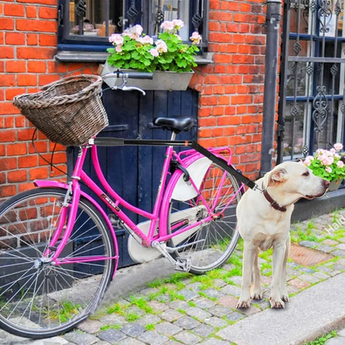 Dog Bike Leash with Suspension