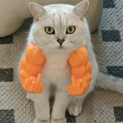 Cat Muscle Arms