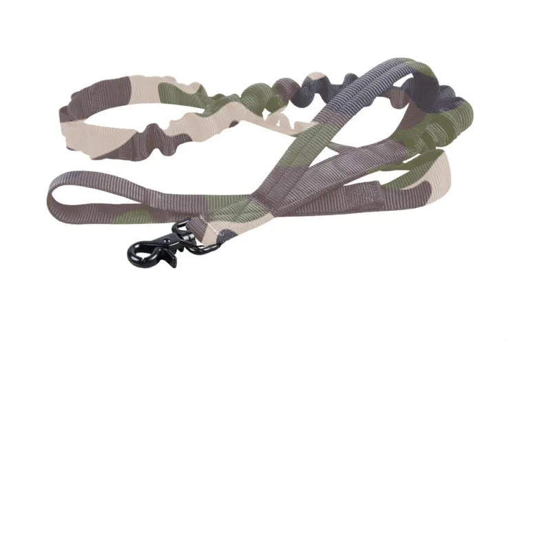 Adjustable Nylon Dog Collar with Strong Click Closure