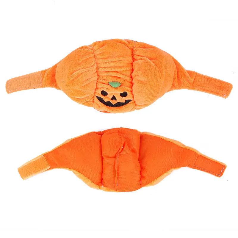 Halloween Pumpkin Costume for Dogs
