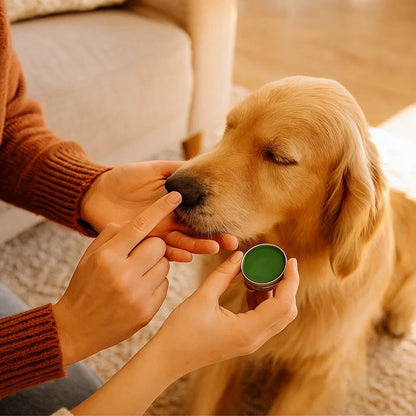 Dog Nose Care and Protection Cream