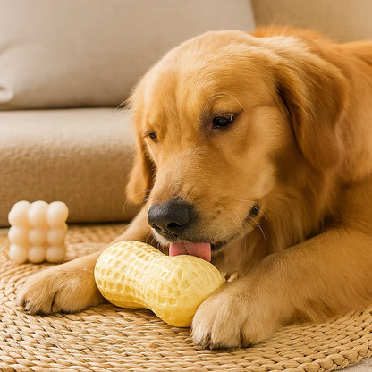 Peanut-Shaped Chew Toy for Dogs, Durable