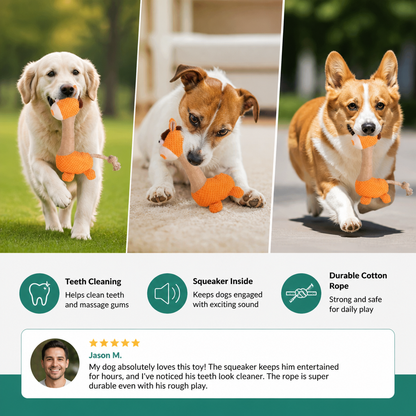 Durable Cotton Rope Teeth Cleaning Plush Dog Toy with Squeaker