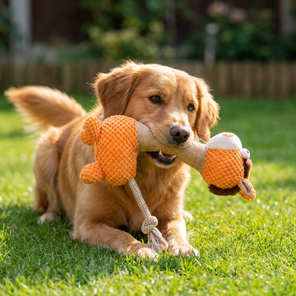 Durable Cotton Rope Teeth Cleaning Plush Dog Toy with Squeaker