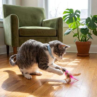 Interactive Feather Cat Toy with Adjustable Collar and Teasing Play Function