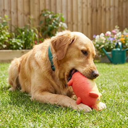 Durable Squeaky Latex Farm Animal Dog Toy