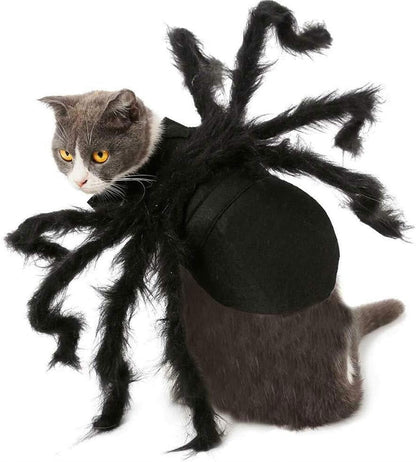 Fuzzy Spider Pet Costume