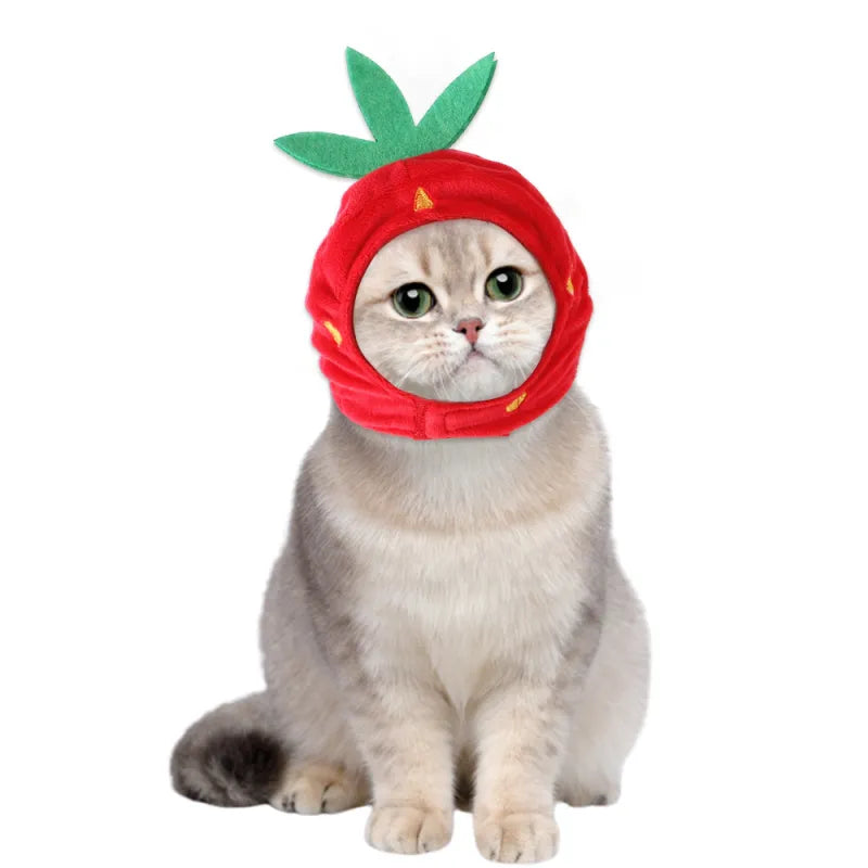 Cat Grooming Kit with Curlers - Soft Material and Easy to Wear